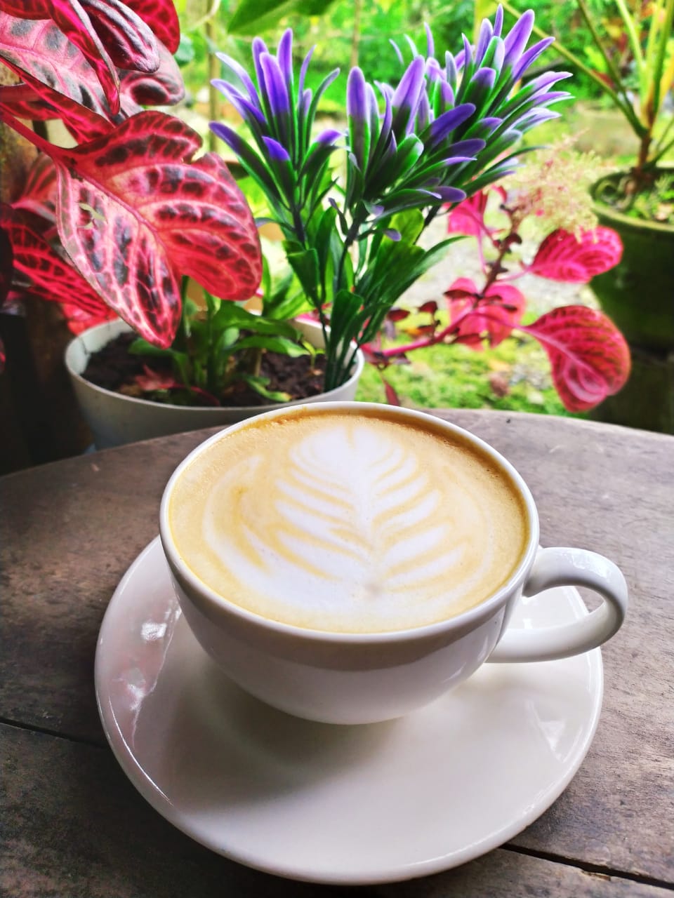 ¿Por qué es tan famoso el café de Colombia?