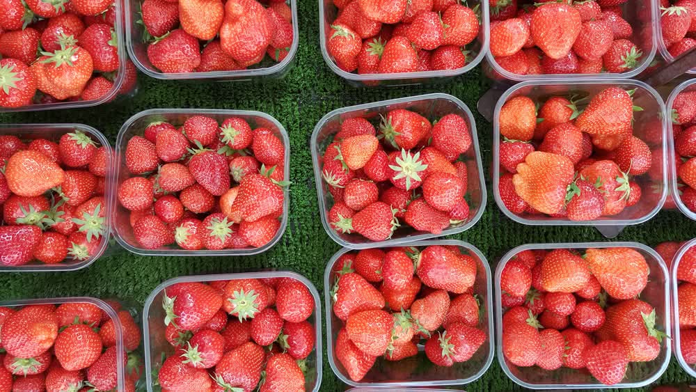 LAS FRUTAS DE COLOMBIA DE ACUERDO A LAS REGIONES